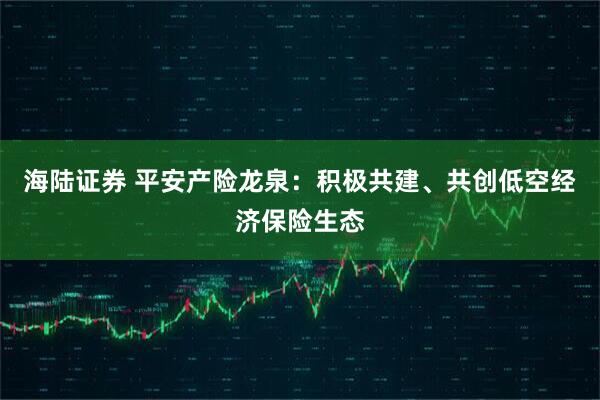 海陆证券 平安产险龙泉：积极共建、共创低空经济保险生态